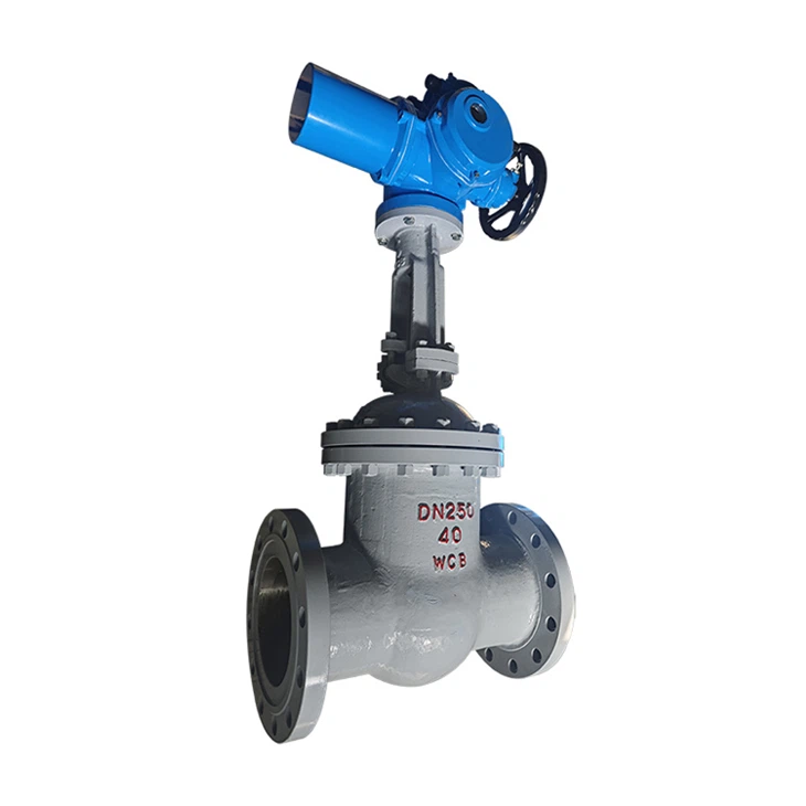 WCB A216 Electric Drive Gate Valve Actuators
